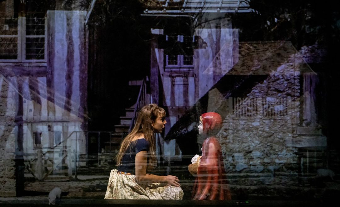 Griddlers : Le Secret Du Petit Chaperon Rouge - Jeu PC Windows Logique